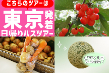 ＜東京駅発＞初夏のどっさり山梨！旬の高級フルーツ♪畑の宝石『さくらんぼ』狩り食べ放題に野菜の詰め放題！縁結びのパワースポット参拝♪さらに『メロン１玉』お持ち帰り♪