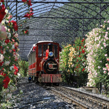 ローザンベリー多和田