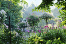 バラのシーズン到来🌹世界が認めた美景『ローザンベリー多和田』＆大人気！ひつじのショーンパン作り×お昼はちょっと贅沢に『ローストビーフ膳』×滋賀県最強パワースポット『多賀大社』で運気アップ◎