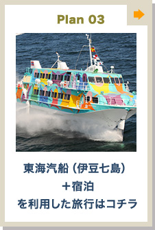 Plan03 東海汽船（伊豆七島） ＋宿泊 を利用した旅行はコチラ