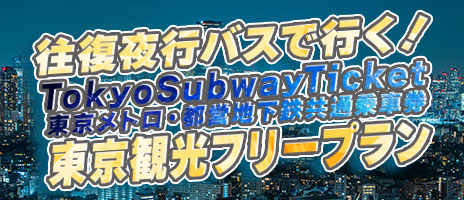 TokyoSubwayTicket