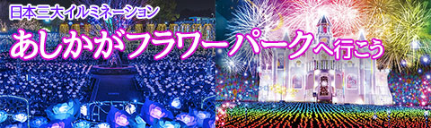 あしかがフラワーパークイルミネーション