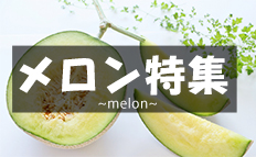 メロン特集