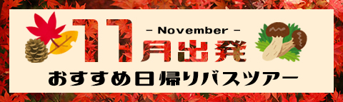 11月出発おすすめ日帰りバスツアー