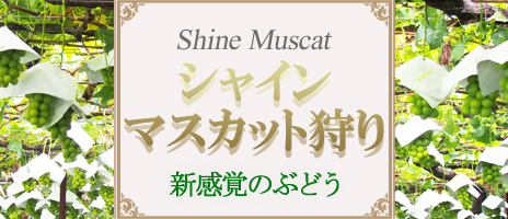 東海発 名古屋発 日帰りバスツアーのバス旅 オリオンツアー