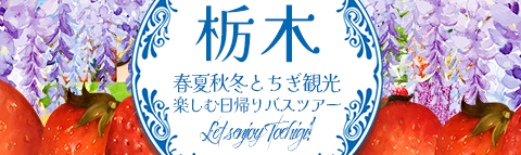 魅力いっぱいな『栃木』をめぐる！日帰りバスツアー特集